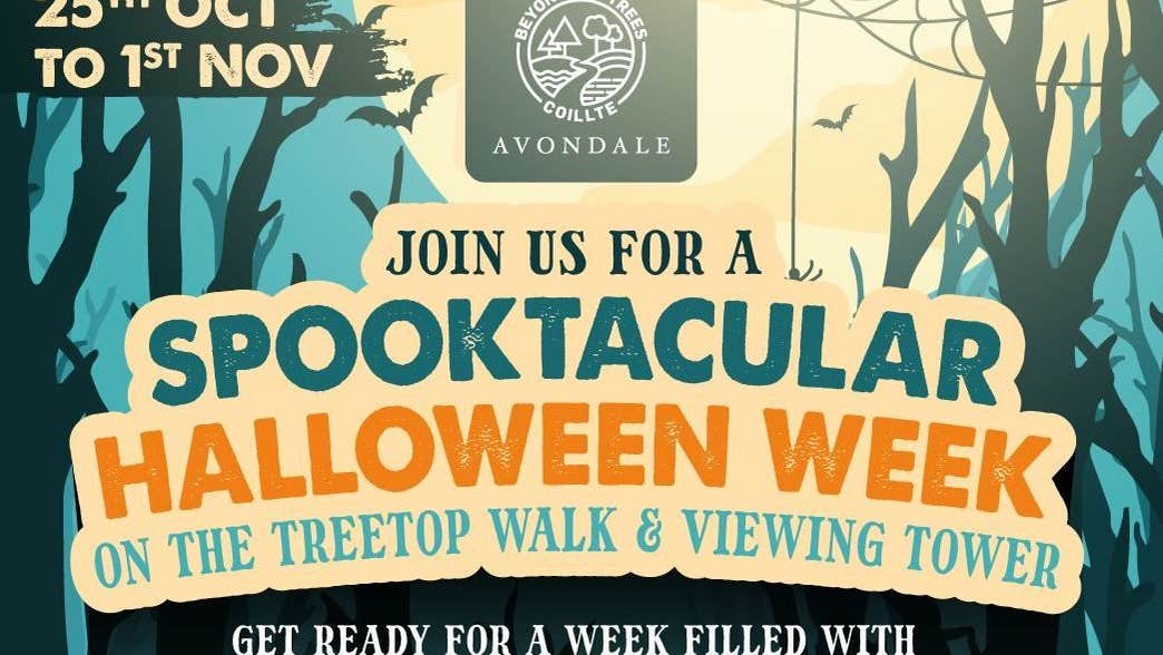 Get ready for a week filled with frightful fun & Halloween spooky thrills.  Bring your little Ghouls & Goblins for an unforgettable adventure at Beyond the Trees Avondale. Mystery Game - Woodland who dunnit from 10 am daily.