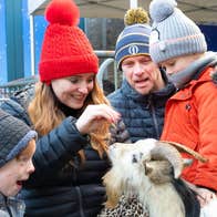 Visitors meet with animals from Kiltimagh Pet Farm at the live crib in Turlough Park. Image: John Mee