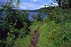 Dromore Wood Nature Reserve & Visitor Centre
