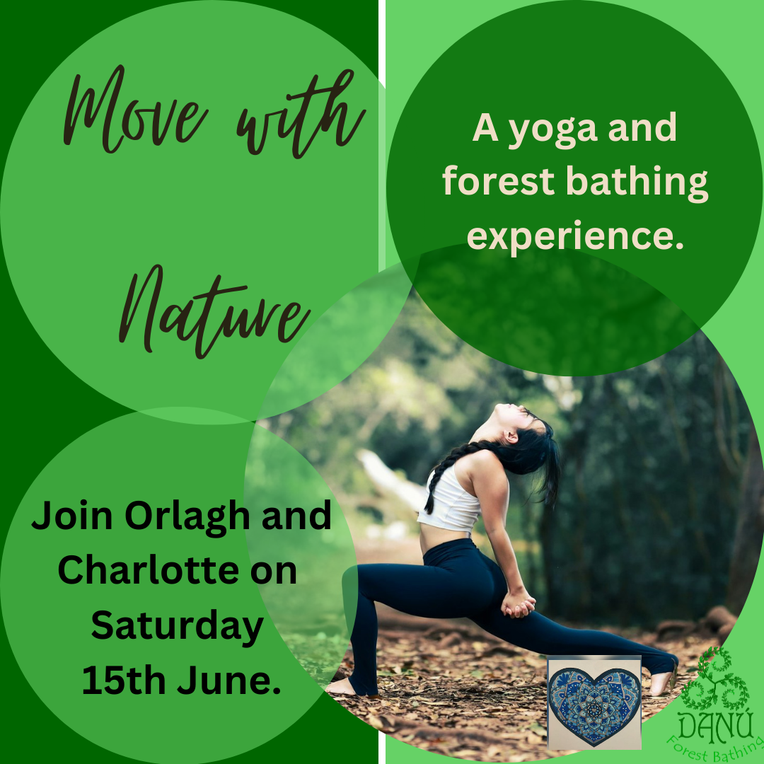 Join Orlagh and Charlotte in Fernhill for a forest bathing and yoga experience.