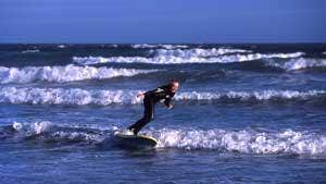 T-Bay Surf & Wildlife Centre