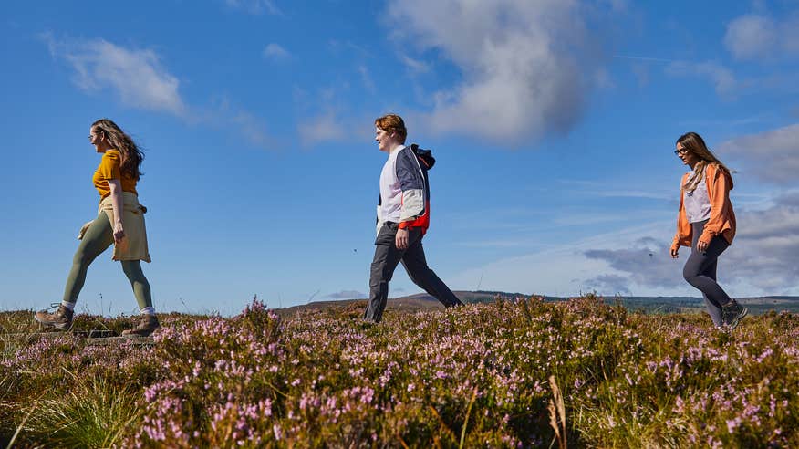 Three people walking in the Slieve Bloom Mountains in County Offaly.