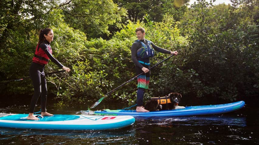 Two people stand up paddle boarding