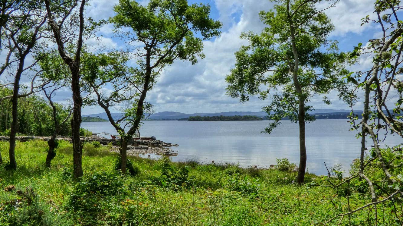 View of Lough Corrib from Inchagoill Island, County Galway