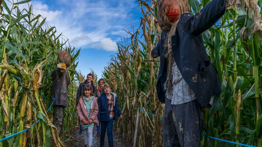 A family walking through the Corn Maze at Causey Farm in County Meath