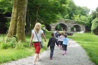 Walking at the Castlecomer Discovery Park 