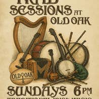 Beige and brown poster with hand drawn Irish musical instruments