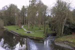 Image of Castlecomer