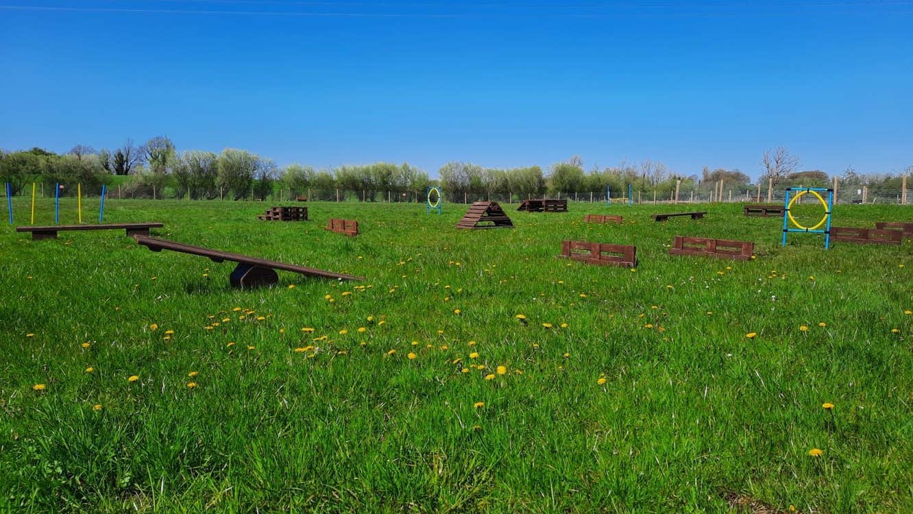 Field of grass with obstacles in it and a blue sky over head