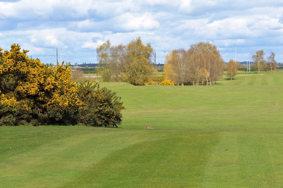 The Heath Golf Club Portlaoise