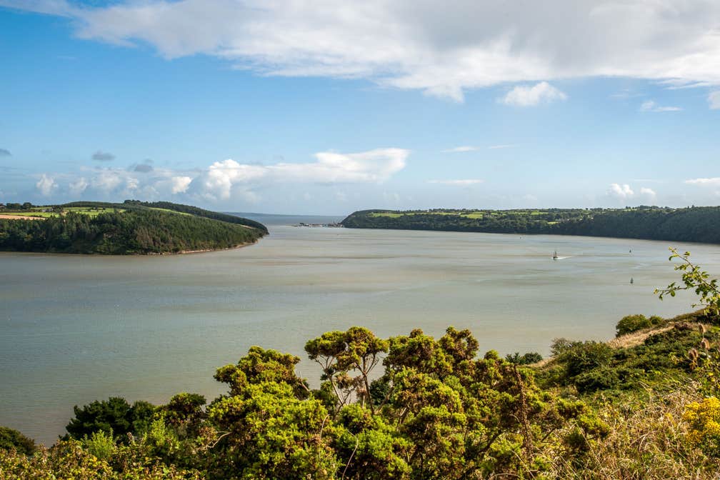 Image of Waterford Estuary in County Waterford