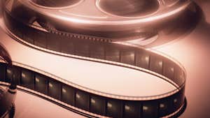 The Reel Picture Cinema