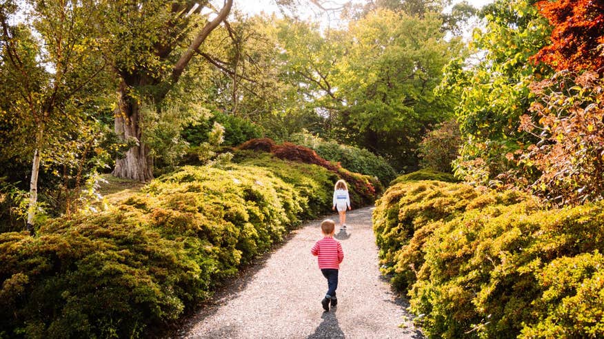 Kids walking in autumn at Mount Congreve.