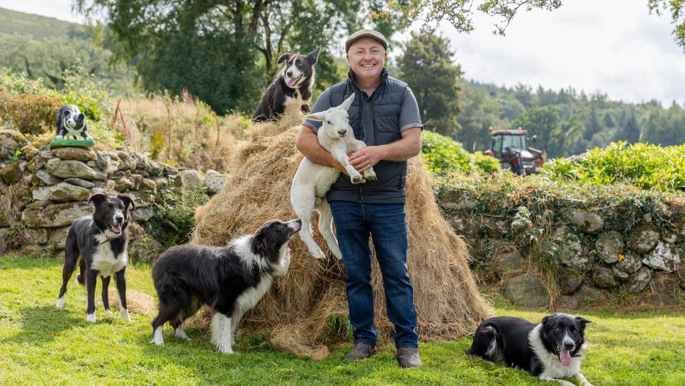 A farmer holds a lamb with four sheepdogs relaxing around him