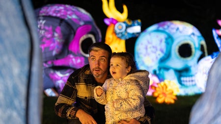 Visitors enjoying colourful lantern displays at night with glowing skull sculptures and lights