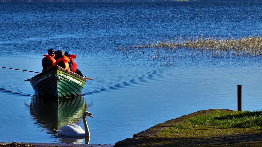 Three people in a fishing boat on a lake near a pier with a swan in view near the pier