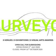 Image of Surveyor 2025