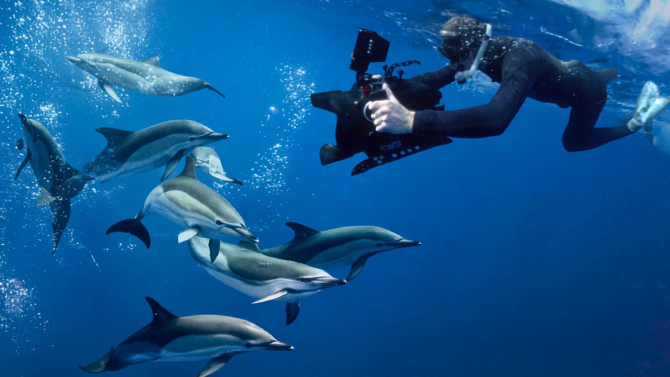 Stories from the Sea with Underwater Cameraman Ken O’Sullivan