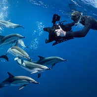 Stories from the Sea with Underwater Cameraman Ken O’Sullivan