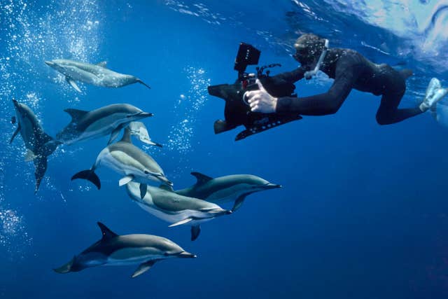 Stories from the Sea with Underwater Cameraman Ken O’Sullivan, Tralee, Kerry