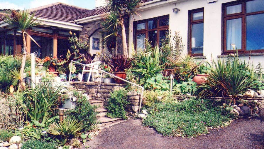 Front view of the house and garden.