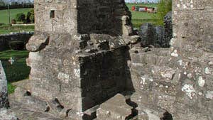 Donaghmore Round Tower