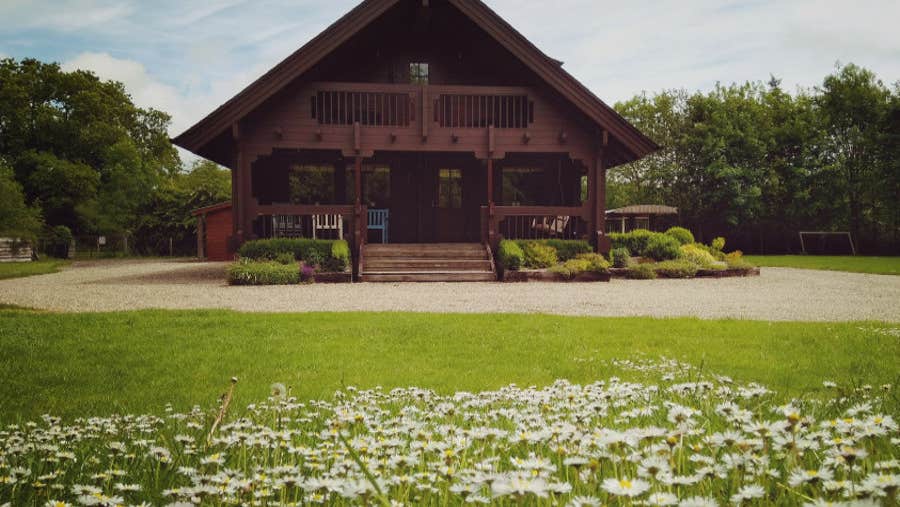 Garden with flowers and cabin in the background