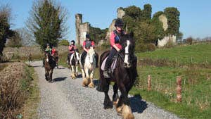 Athlone Equestrian Centre