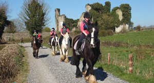 Athlone Equestrian Centre