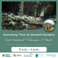 Poster for Carlow Snowdrop Time - Shankill Castle