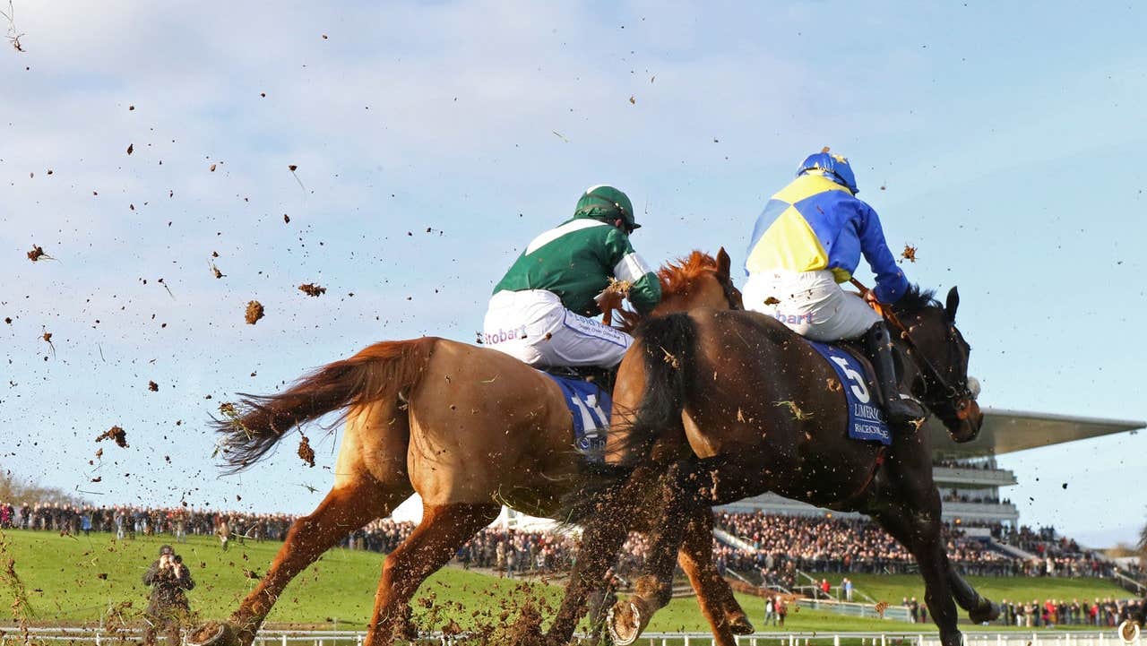 A close up of two horses and their jockeys on a race track