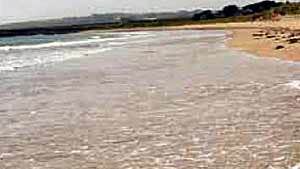 Curragh Beach near Ardmore