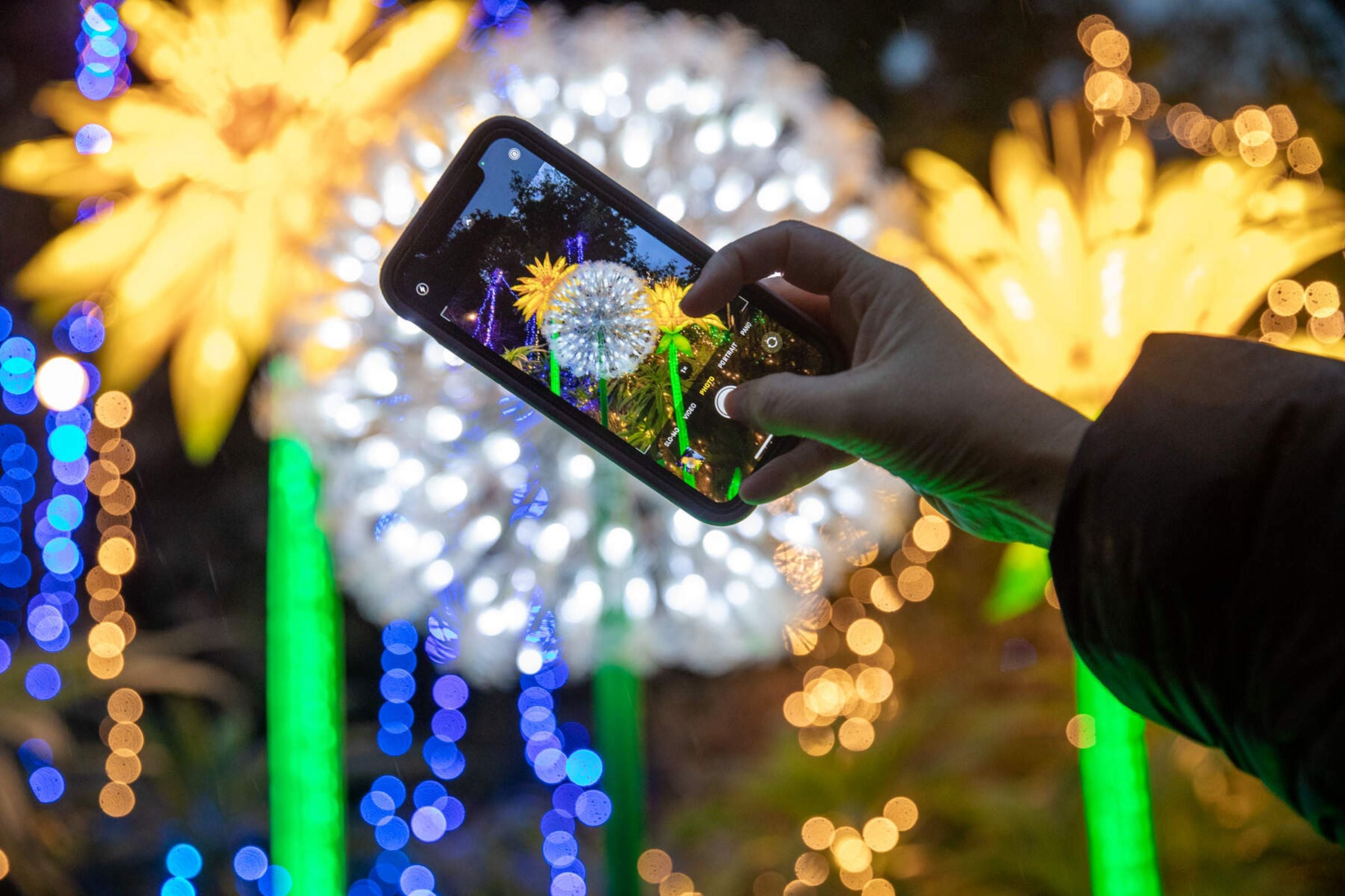 A hand holding a phone taking a picture of a lights display in Dublin Zoo.