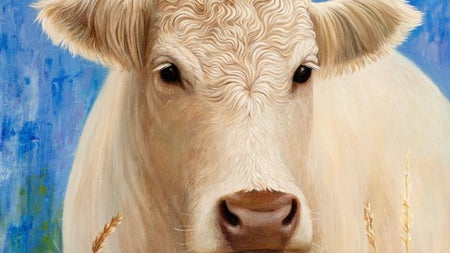 The White Cow by Tetiana Tsarenko