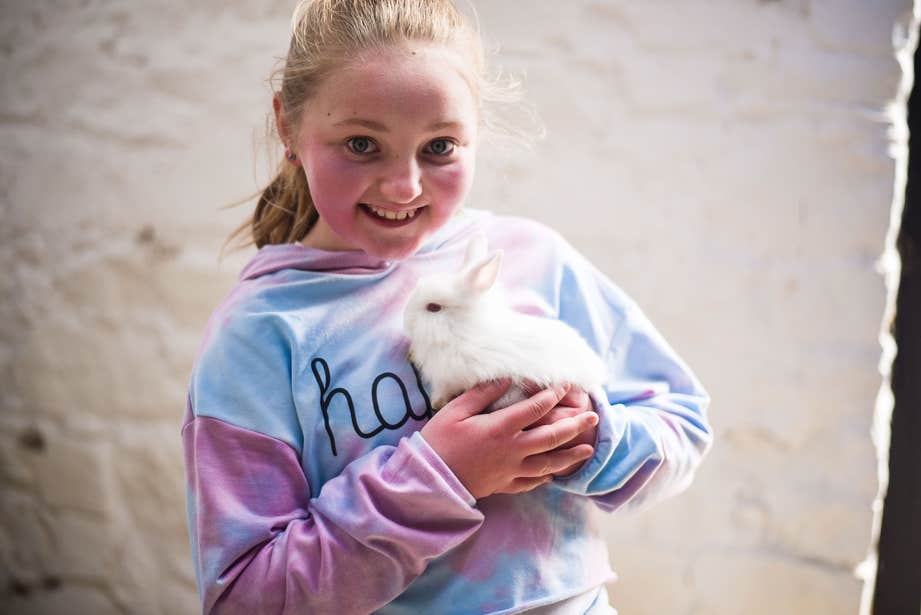 Take the kids to meet fuzzy friends at Belvedere House.