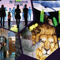 "This winter, Dublin comes alive with story, light & family memories as EPIC and Dublin Zoo unite for The Dublin Double, a one-of-a-kind city adventure from the Docklands to the glowing trails of Phoenix Park in one unforgettable day