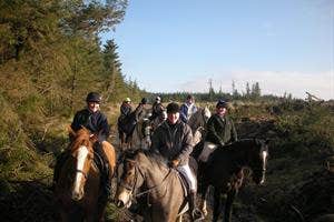 Birr Equestrian Centre, Offaly