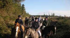 Birr Equestrian Centre