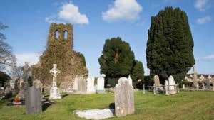 Picture of Graveyard