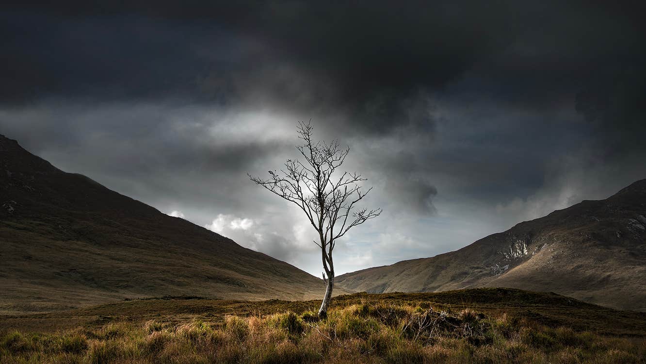 Exhibition: Dundalk Photographic Society 2026