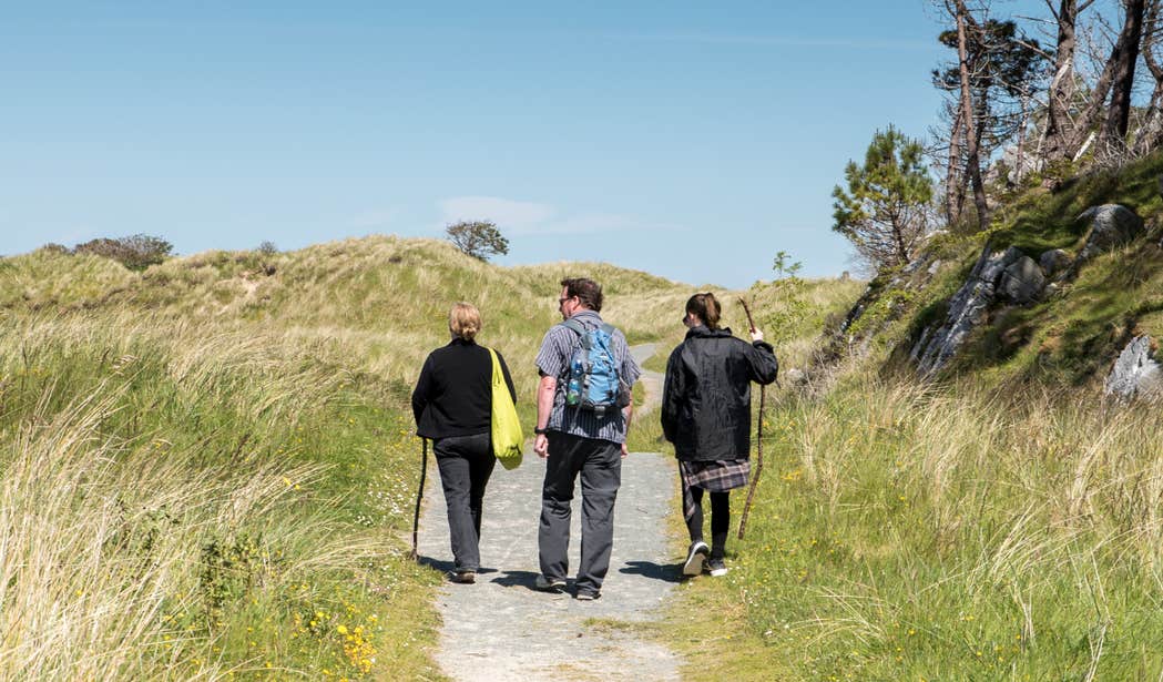 Three people hiking through Ards Forest Park in Donegal on a sunny day.