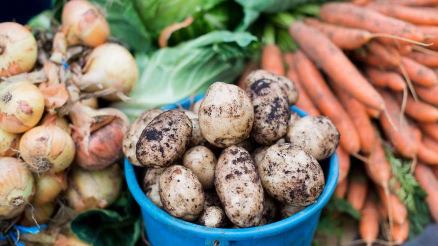 Fresh vegetables in a bucket at Grow HQ in Waterford.