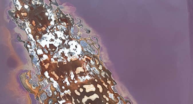 Part of close up image of sugar kelp herberium pressed lumen print