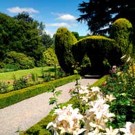 Altamont Gardens and flowers on a sunny day is just one of the great things to do in Carlow