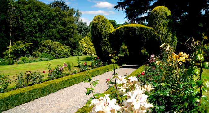Altamont Gardens and flowers on a sunny day is just one of the great things to do in Carlow