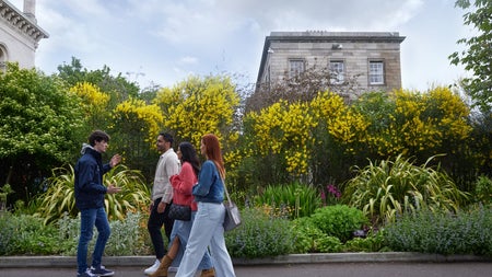 Guide and visitors walking past yellow flowers