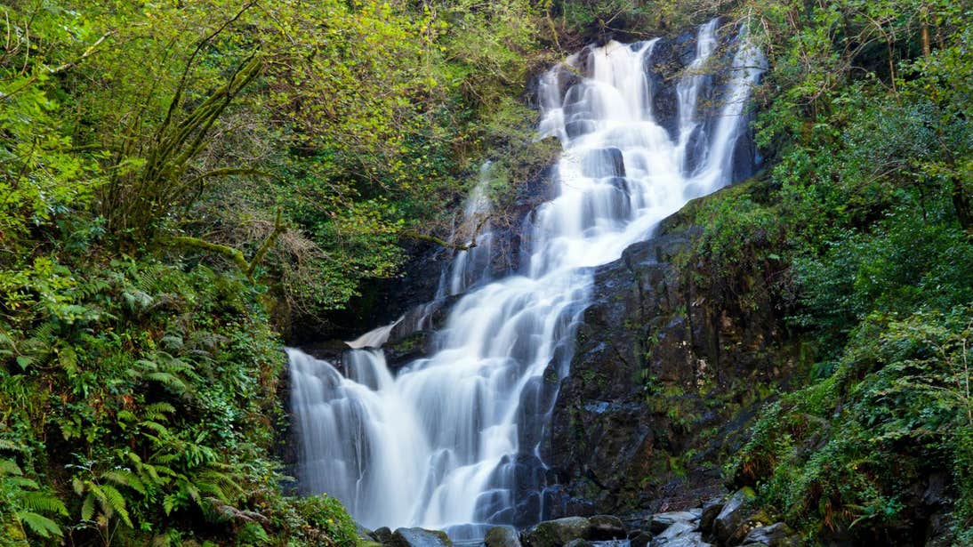 Water cascading down Torc Waterfall, County Kerry surrounded by plants