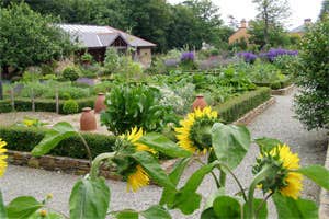 Inish Beg Gardens, Baltimore, Cork