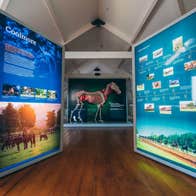 Large free standing light up display featuring text and images of horses
