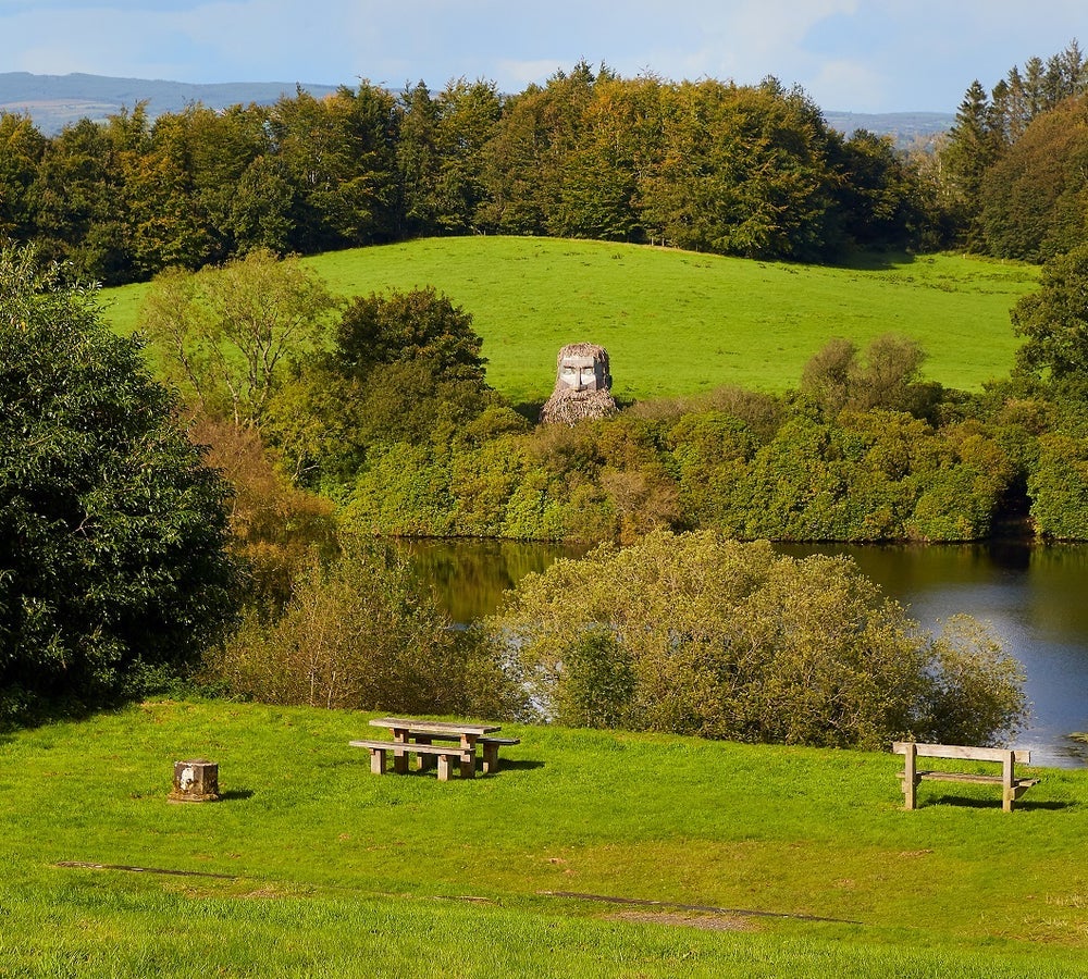 Rossmore Forest Park